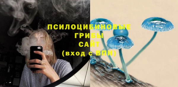 первитин Ладушкин
