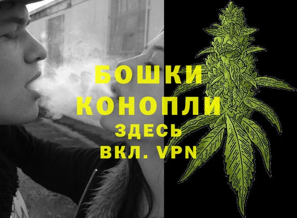 соль ск Кулебаки