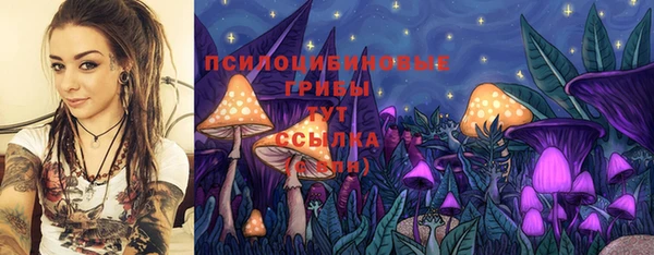синтетический гашиш Лабытнанги