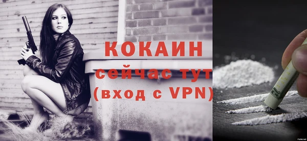 соль ск Кулебаки